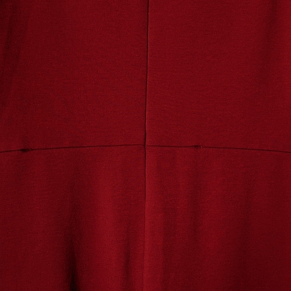 Red Formal Day Mini Dress - Picture 3 of 3